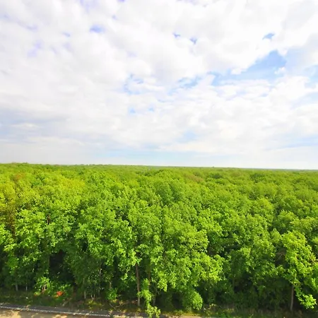 Foresthouse 1 아파트 티미쇼아라