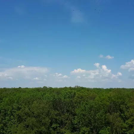 Foresthouse 1 Тімішоара