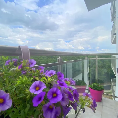 Foresthouse 1 * Timisoara