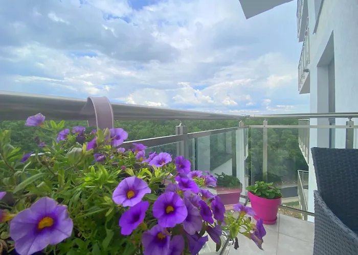 Foresthouse 1 * Timişoara